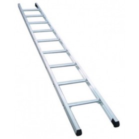 Everlast Single Pole Ladder